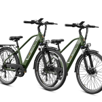 EB5 Roamer Clearance (All New Bike)