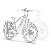 EB5 Roamer Clearance (All New Bike) - Image 13